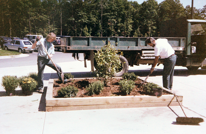 Photograph of workmen planting a tree and shrubs in raised bed in the middle of the sidewalk at Cherry Run Elementary School.
